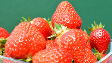 Erdbeere (6).jpg